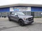 2024 Ford F-150 Gray, new