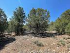 Plot For Sale In Tierra Amarilla, New Mexico