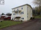 432 Main Street, Bishop'S Falls, NL, A0H 1C0 - house for sale Listing ID 1271645