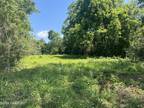 Plot For Sale In Basile, Louisiana