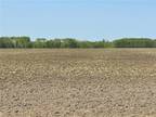 La Broquerie, Manitoba, R0A 0W0 - vacant land for sale Listing ID 202409609
