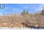 Rte 105 Route, Bear Island, NB, E6K 1X5 - vacant land for sale Listing ID