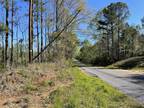 Plot For Sale In Raleigh, Mississippi