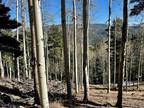 Plot For Sale In Angel Fire, New Mexico