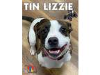 Adopt Tin Lizzie a Brindle Mixed Breed (Medium) / Mixed dog in Grand Island