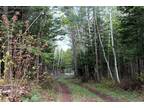 Plot For Sale In Indian Lake, New York