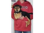 Adopt Nugget a Black - with Tan, Yellow or Fawn German Shepherd Dog / Rottweiler