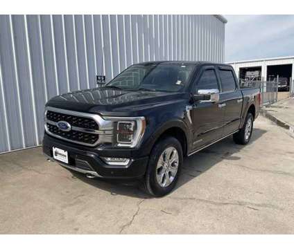 2023 Ford F-150 Platinum is a Black 2023 Ford F-150 Platinum Truck in Corsicana TX
