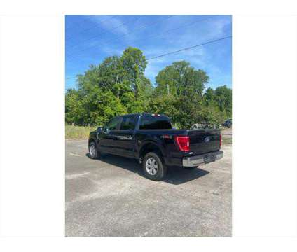 2023 Ford F-150 XLT is a Blue 2023 Ford F-150 XLT Truck in Tuscumbia AL