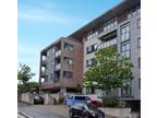 1 bed flat to rent in Constantine Street, PL4, Plymouth
