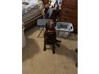 Adopt Rolo a Brown/Chocolate Labrador Retriever / Mixed dog in Canonsburg