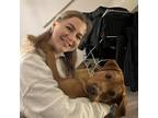 Your Furry Friend‘s Dream Pet Sitter in London, Offering Reliable and