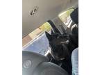 Adopt Penny a Black - with White Australian Kelpie / Mixed dog in Moreno Valley