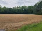 Plot For Sale In Pittsville, Maryland