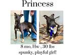 Adopt Princess a Mixed Breed (Medium) / Mixed dog in Albany, GA (40584096)