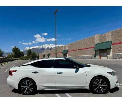 2017 Nissan Maxima for sale is a White 2017 Nissan Maxima Car for Sale in Orem UT