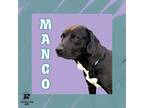 Adopt Mango a Black Mixed Breed (Large) / Mixed dog in Ashtabula, OH (39165054)