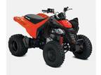 2024 Can-Am DS 250 ATV for Sale