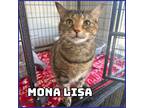 Adopt Mona Lisa a Brown Tabby Domestic Shorthair (short coat) cat in Glenwood