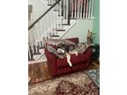 Adopt Renaldo a Black - with White Husky / Mixed dog in Yorktown, VA (41266322)
