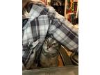 Adopt Marigold a Gray or Blue Tabby / Mixed (short coat) cat in Belleville