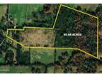 Plot For Sale In Jefferson City, Tennessee