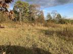 Plot For Sale In Vinemont, Alabama