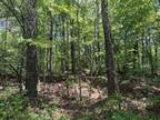 Plot For Sale In Enville, Tennessee