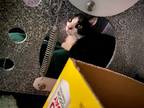 Adopt Mittens a Domestic Mediumhair / Mixed (short coat) cat in Rockport