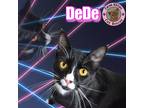 Adopt DeDe a White (Mostly) Domestic Shorthair cat in Hershey, PA (41147394)
