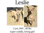 Adopt Leslie a Mixed Breed (Medium) / Mixed dog in Albany, GA (41114703)
