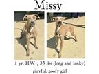 Adopt Missy a Mixed Breed (Medium) / Mixed dog in Albany, GA (41042769)