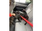 Adopt 54979027 a Black Labrador Retriever / Mixed dog in El Paso, TX (40688141)