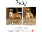 Adopt Patty a Mixed Breed (Medium) / Mixed dog in Albany, GA (40745222)