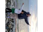 Experienced House Sitter in Kotzebue, Alaska - Trustworthy and Reliable $45/Day