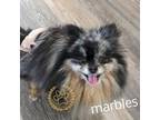 Marbles