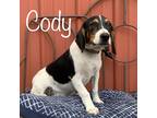 Adopt Cody a Tricolor (Tan/Brown & Black & White) Beagle / Mixed dog in Albert