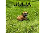 Julia