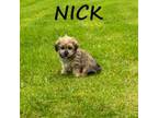 Nick