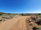 Colorado Land for Sale, 41.33 Acres