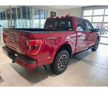 2021UsedFordUsedF-150 is a Red 2021 Ford F-150 Car for Sale in Milwaukee WI