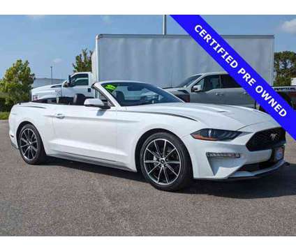 2019 Ford Mustang EcoBoost Premium is a White 2019 Ford Mustang EcoBoost Car for Sale in Sarasota FL