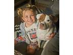 Adopt Oona a Pit Bull Terrier