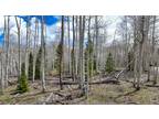Plot For Sale In Placerville, Colorado