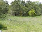 Plot For Sale In Grawn, Michigan