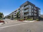 5933 Sunstone Dr #304, San Jose, CA 95123