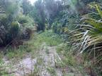 430 SHILOH GROVE QUARTERS RD, OAK HILL, FL 32759 For Sale MLS# O6034857