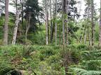 Lot for sale in Black Creek, Merville Black Creek, Lot a Wilfred Rd, 962943