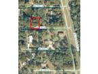 Plot For Sale In Fort Mccoy, Florida