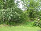 Plot For Sale In North Collins, New York